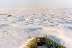 Photo 1.9 : Floes encastrés se composant de vieille glace recouverte de neige : un bon exemple de formation de hummocks.