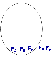 Form of Ice